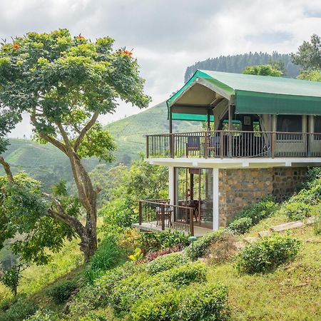 Madulkelle Tea And Eco Lodge Kandy Kültér fotó