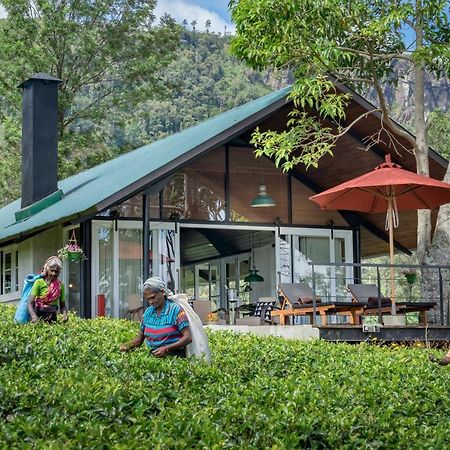 Madulkelle Tea And Eco Lodge Kandy Kültér fotó