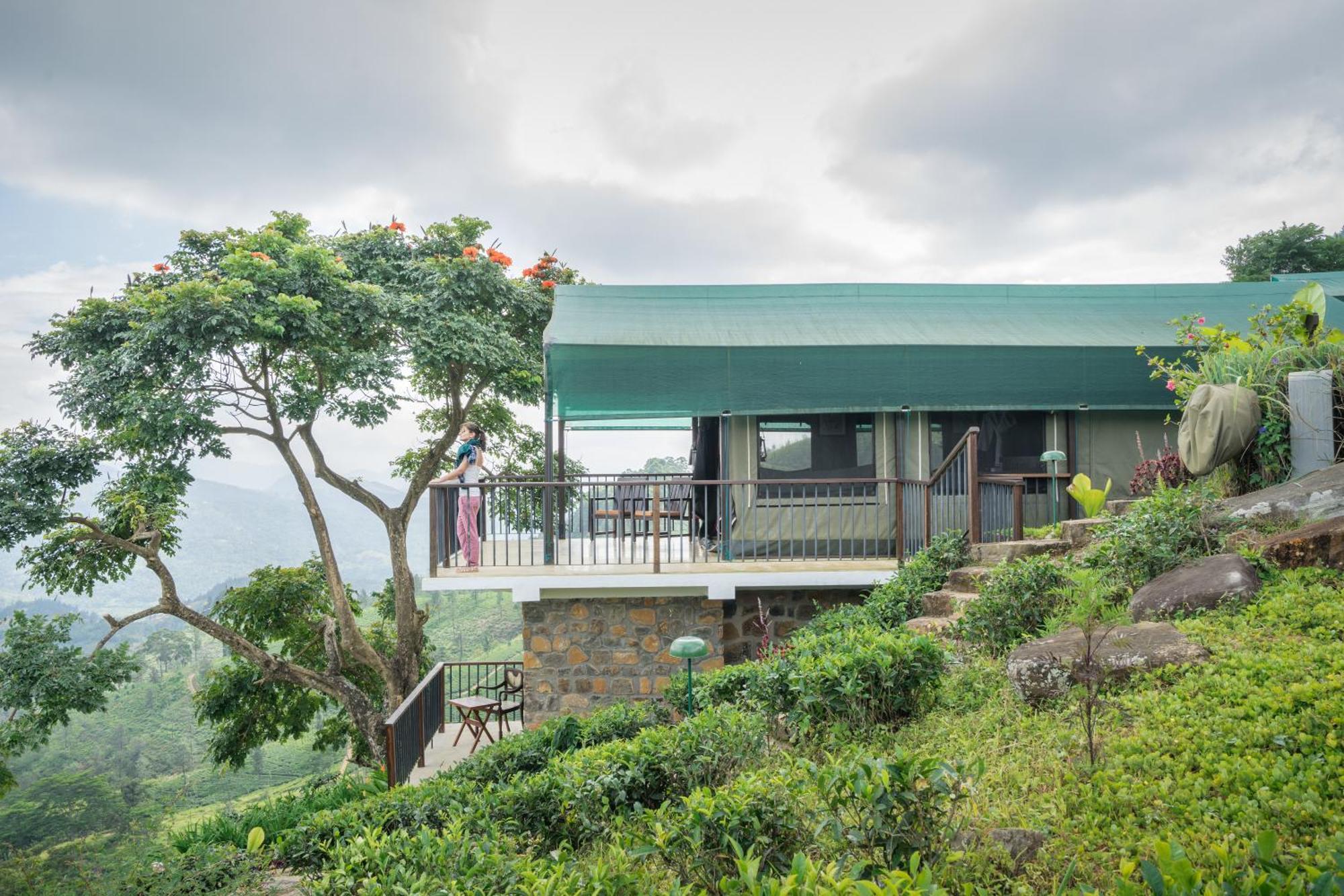 Madulkelle Tea And Eco Lodge Kandy Kültér fotó