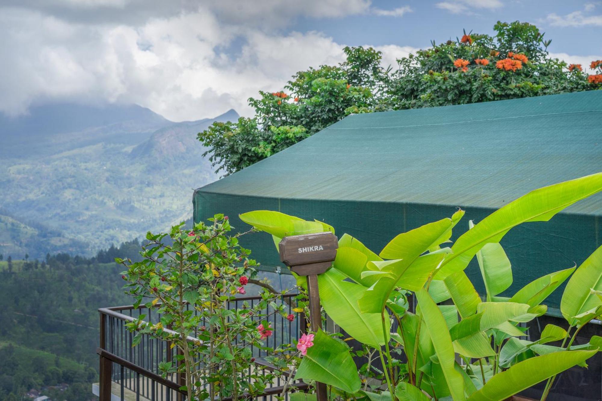 Madulkelle Tea And Eco Lodge Kandy Kültér fotó