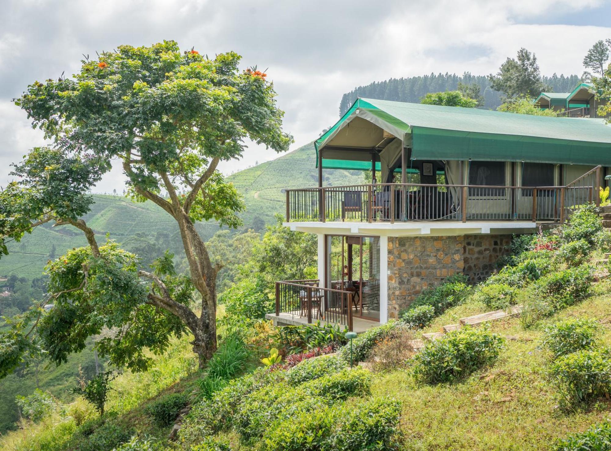 Madulkelle Tea And Eco Lodge Kandy Kültér fotó