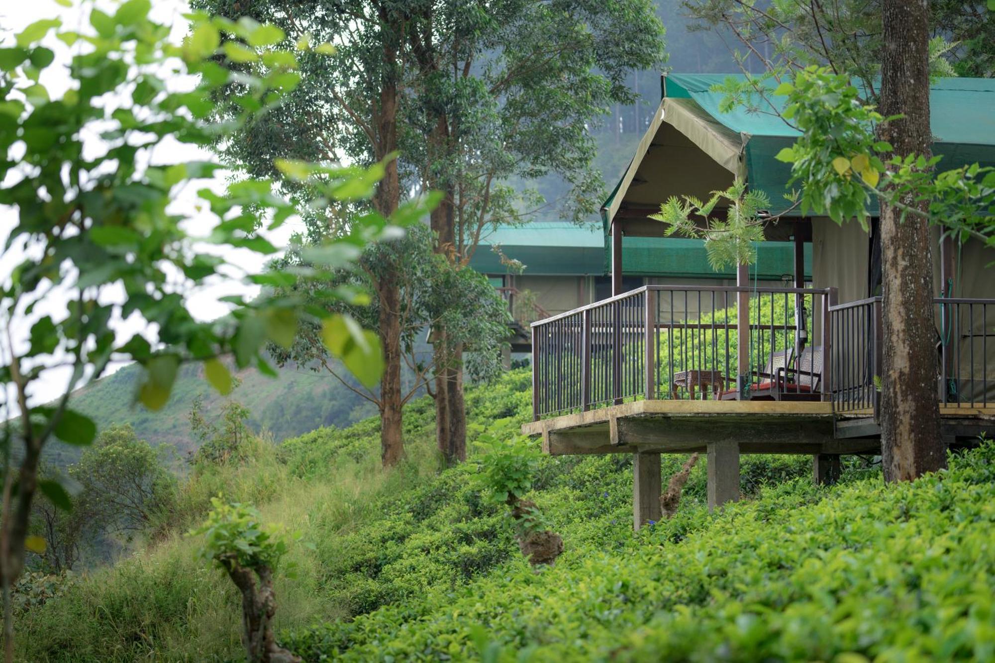 Madulkelle Tea And Eco Lodge Kandy Kültér fotó