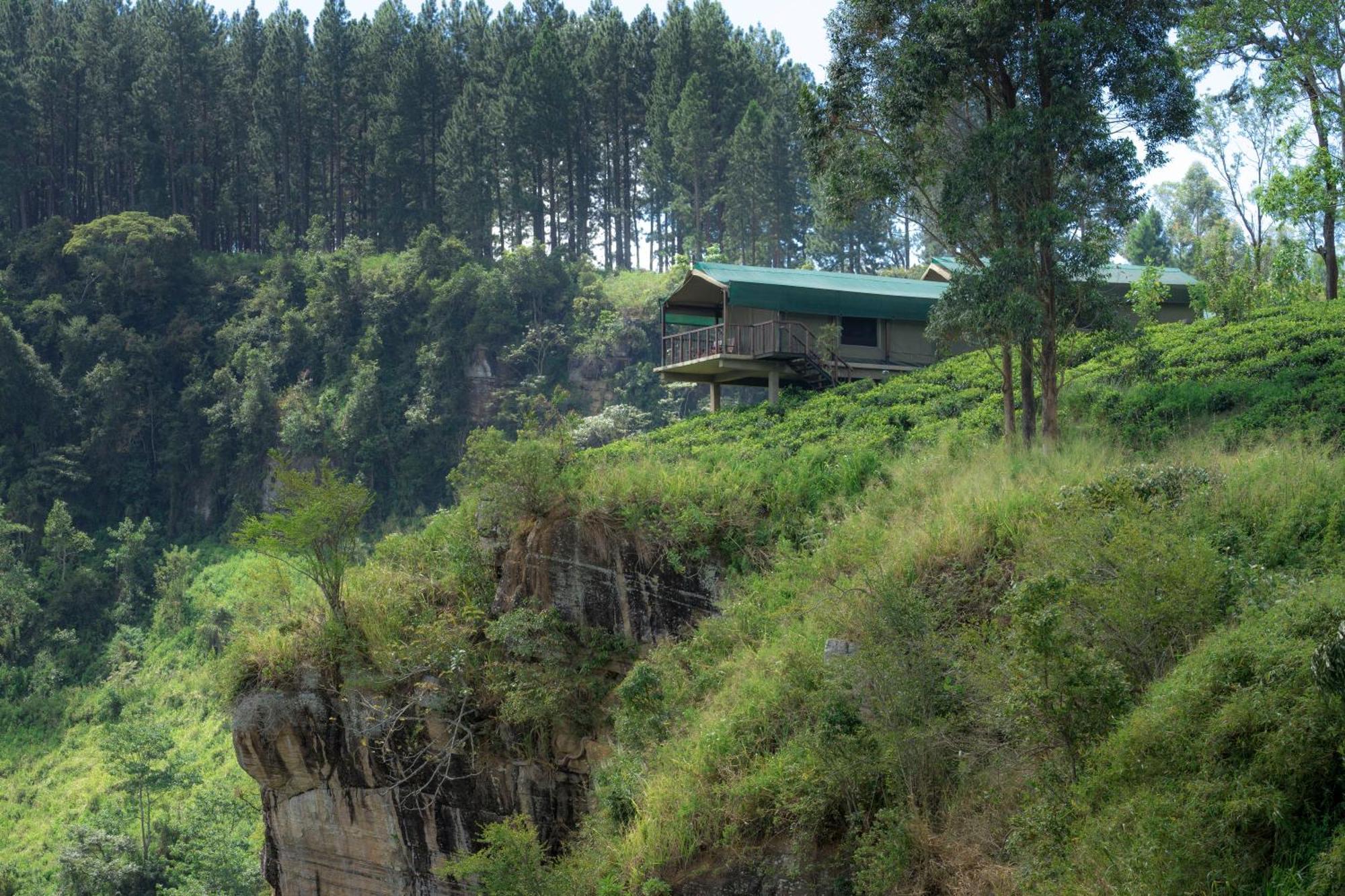 Madulkelle Tea And Eco Lodge Kandy Kültér fotó
