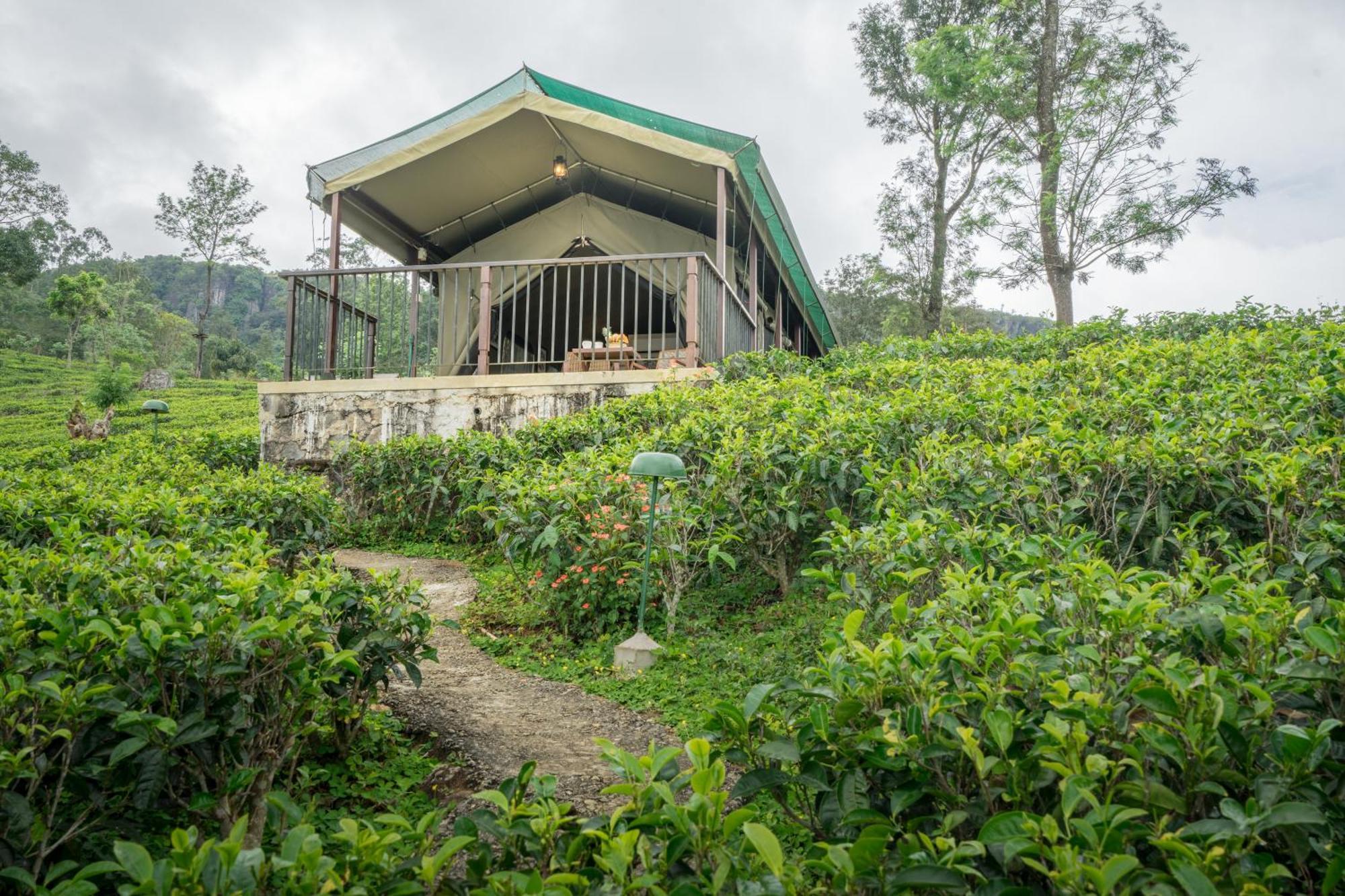 Madulkelle Tea And Eco Lodge Kandy Kültér fotó