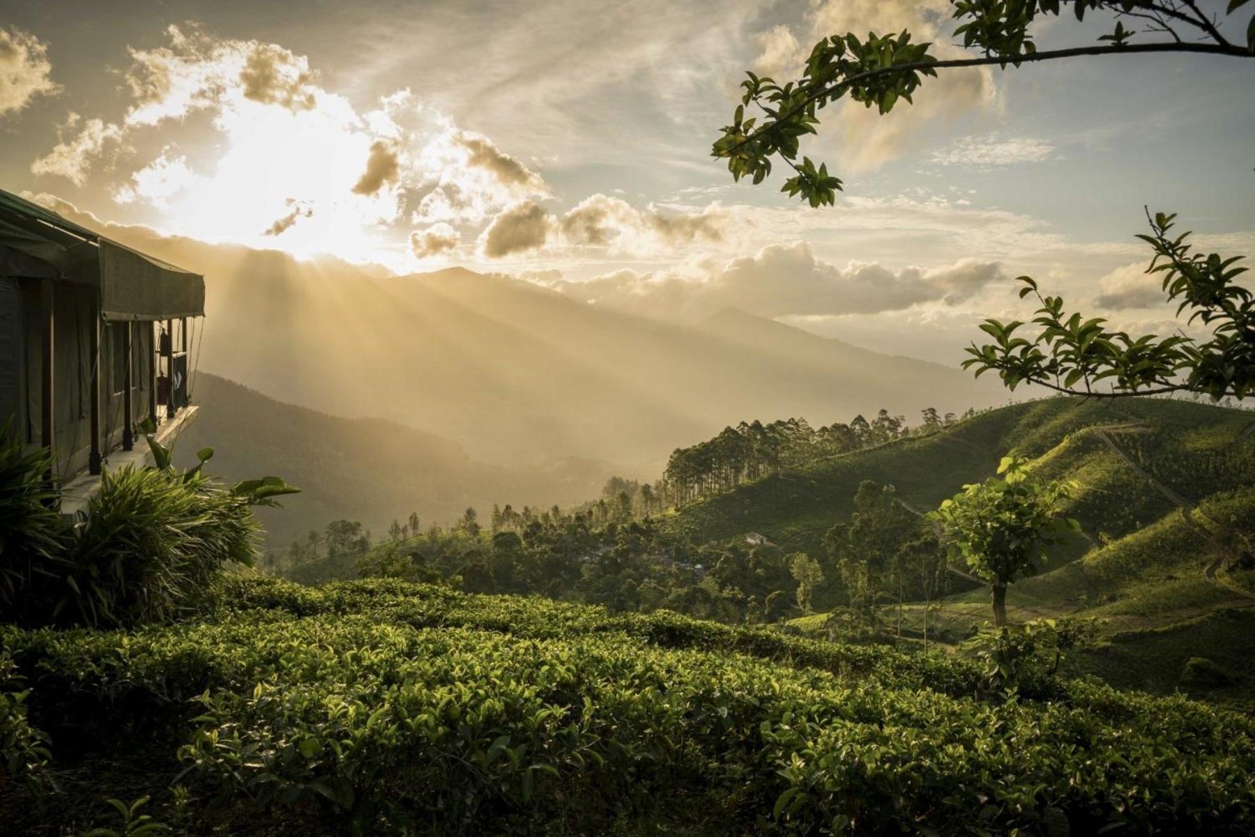 Madulkelle Tea And Eco Lodge Kandy Kültér fotó