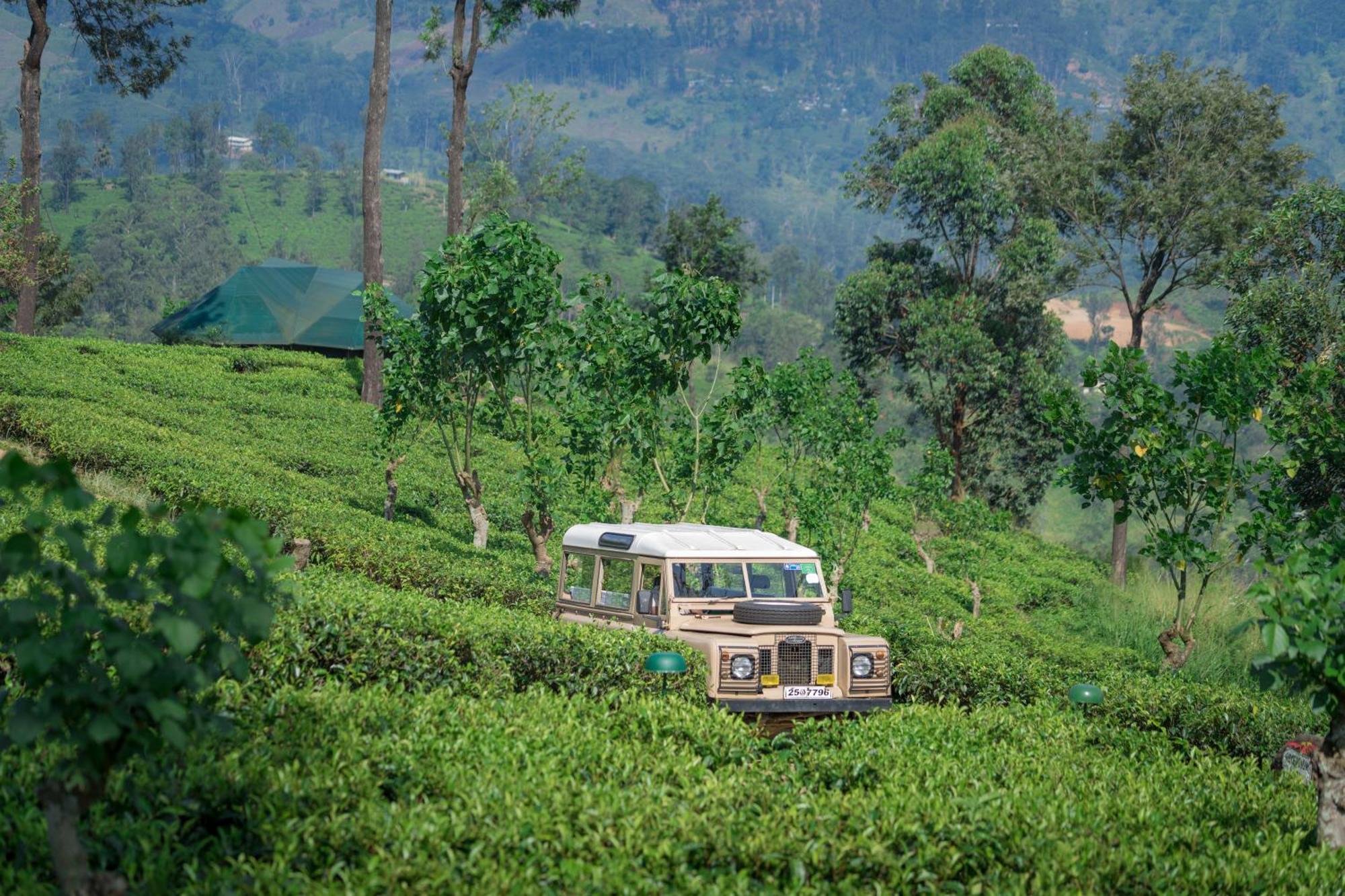 Madulkelle Tea And Eco Lodge Kandy Kültér fotó